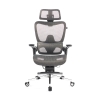 صندلی گیمینگ ردراگون مدل Redragon C-701G